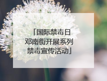国际禁毒日 邓南街开展系列禁毒宣传活动