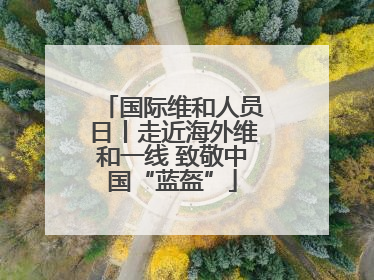 国际维和人员日丨走近海外维和一线 致敬中国“蓝盔”