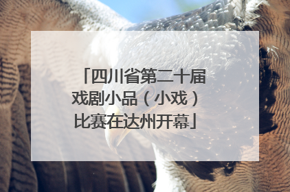 四川省第二十届戏剧小品（小戏）比赛在达州开幕