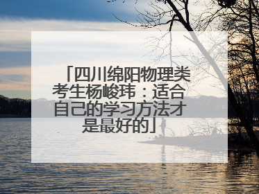 四川绵阳物理类考生杨峻玮：适合自己的学习方法才是最好的