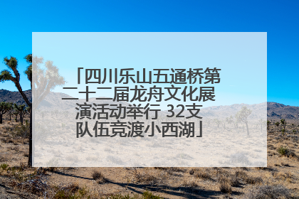 四川乐山五通桥第二十二届龙舟文化展演活动举行 32支队伍竞渡小西湖