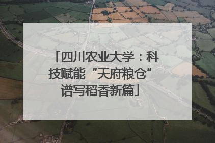 四川农业大学：科技赋能“天府粮仓”谱写稻香新篇
