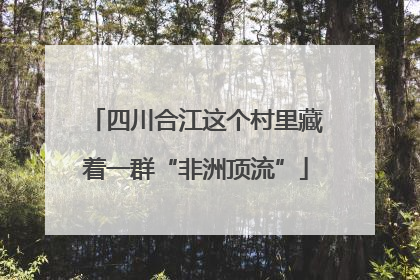 四川合江这个村里藏着一群“非洲顶流”