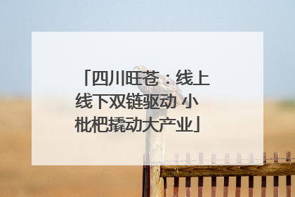 四川旺苍：线上线下双链驱动 小枇杷撬动大产业