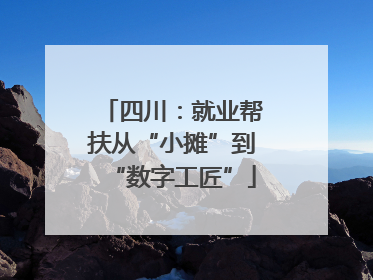 四川：就业帮扶从“小摊”到“数字工匠”