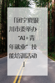 团宁夏银川市委举办“AI+青年就业”技能培训活动