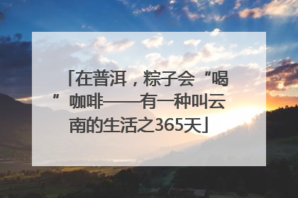 在普洱，粽子会“喝”咖啡——有一种叫云南的生活之365天