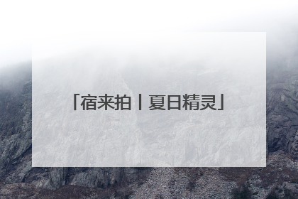 宿来拍丨夏日精灵