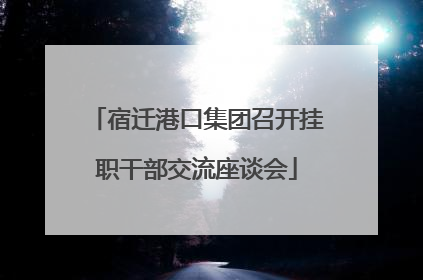 宿迁港口集团召开挂职干部交流座谈会