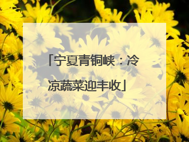 宁夏青铜峡：冷凉蔬菜迎丰收
