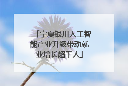 宁夏银川人工智能产业升级带动就业增长超千人