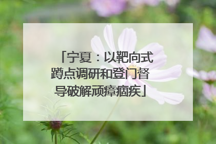 宁夏：以靶向式蹲点调研和登门督导破解顽瘴痼疾