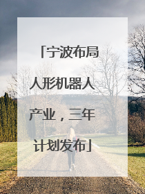 宁波布局人形机器人产业，三年计划发布