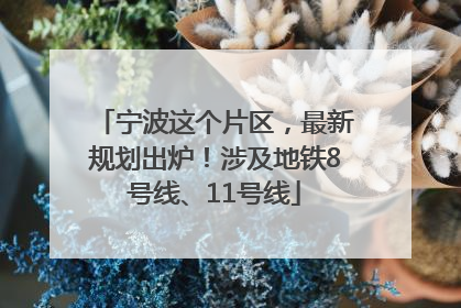 宁波这个片区，最新规划出炉！涉及地铁8号线、11号线