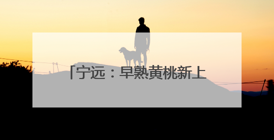 宁远：早熟黄桃新上市 生态种植助增收