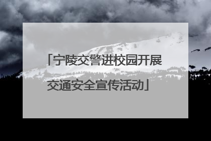 宁陵交警进校园开展交通安全宣传活动