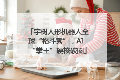 宇树人形机器人全球“格斗秀”，AI“拳王”硬核破圈