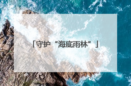 守护“海底雨林”