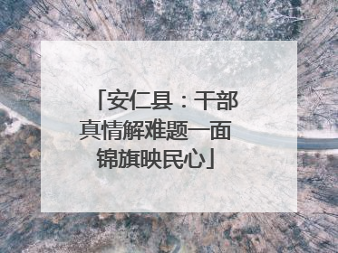 安仁县：干部真情解难题一面锦旗映民心