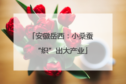 安徽岳西：小桑蚕“织”出大产业