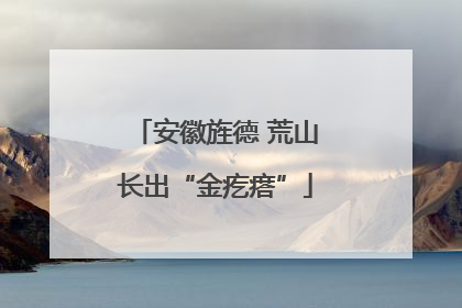 安徽旌德 荒山长出“金疙瘩”