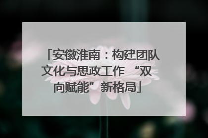 安徽淮南：构建团队文化与思政工作 “双向赋能”新格局