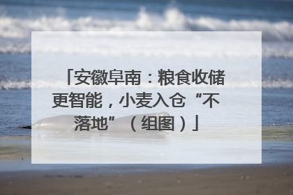 安徽阜南：粮食收储更智能，小麦入仓“不落地”（组图）