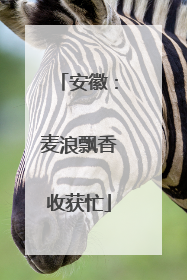 安徽：麦浪飘香收获忙
