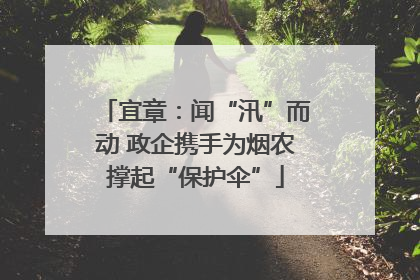 宜章：闻“汛”而动 政企携手为烟农撑起“保护伞”