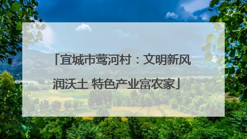 宜城市莺河村：文明新风润沃土 特色产业富农家