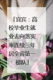 宜宾：高校毕业生就业去向落实率连续三年居全省第一梯队