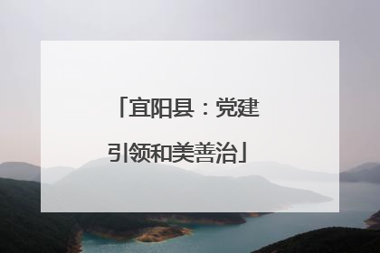 宜阳县：党建引领和美善治