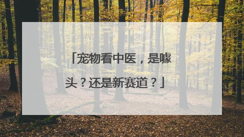 宠物看中医，是噱头？还是新赛道？