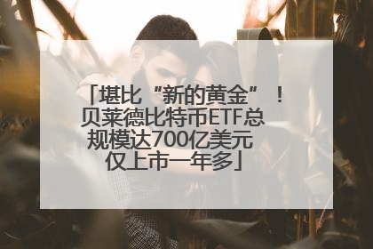 堪比“新的黄金”！贝莱德比特币ETF总规模达700亿美元 仅上市一年多