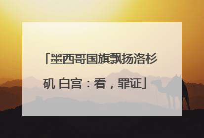 墨西哥国旗飘扬洛杉矶 白宫：看，罪证