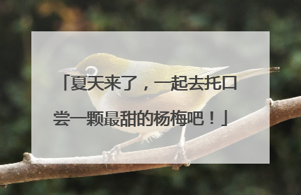 夏天来了，一起去托口尝一颗最甜的杨梅吧！