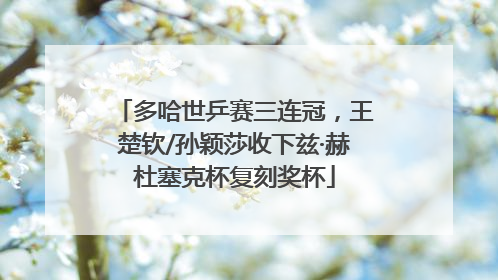 多哈世乒赛三连冠，王楚钦/孙颖莎收下兹·赫杜塞克杯复刻奖杯