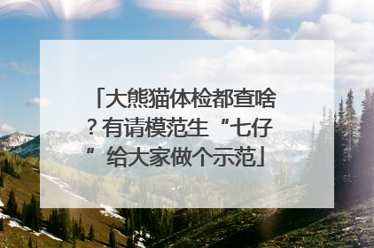 大熊猫体检都查啥？有请模范生“七仔”给大家做个示范