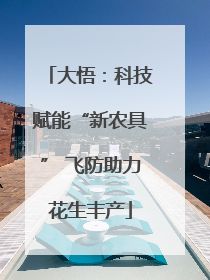 大悟：科技赋能“新农具” 飞防助力花生丰产