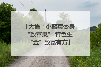 大悟：小蓝莓变身“致富果” 特色生“金”致富有方