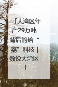 大湾区年产29万吨背后的给“荔”科技｜数说大湾区