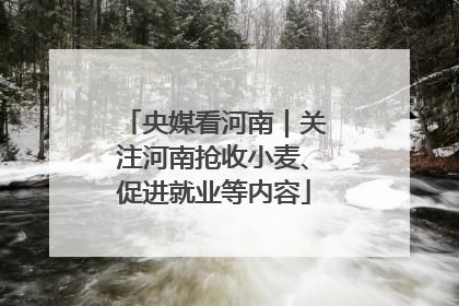 央媒看河南｜关注河南抢收小麦、促进就业等内容