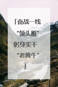 奋战一线“领头雁” 躬身实干“老黄牛”