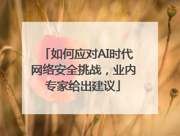 如何应对AI时代网络安全挑战，业内专家给出建议