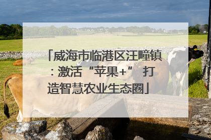 威海市临港区汪疃镇：激活“苹果+” 打造智慧农业生态圈