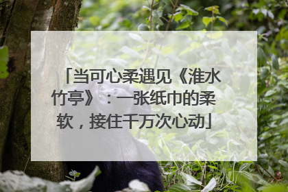 当可心柔遇见《淮水竹亭》：一张纸巾的柔软，接住千万次心动
