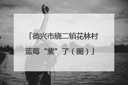德兴市绕二镇花林村蓝莓“紫”了（图）