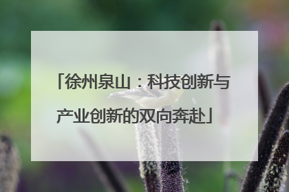 徐州泉山：科技创新与产业创新的双向奔赴