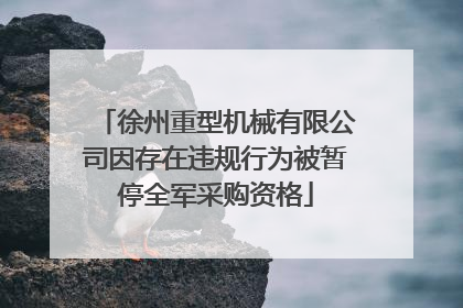 徐州重型机械有限公司因存在违规行为被暂停全军采购资格