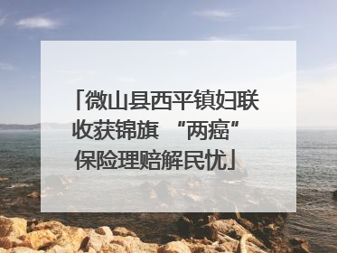 微山县西平镇妇联收获锦旗 “两癌”保险理赔解民忧